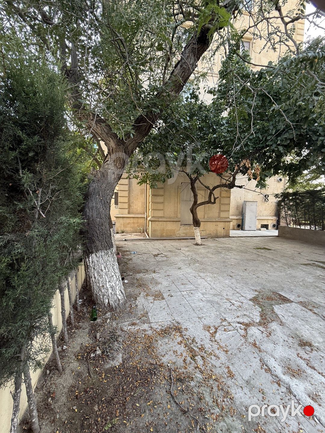 İcarəyə verilir obyekt 150 m² — Əmlak, Bakı (4)