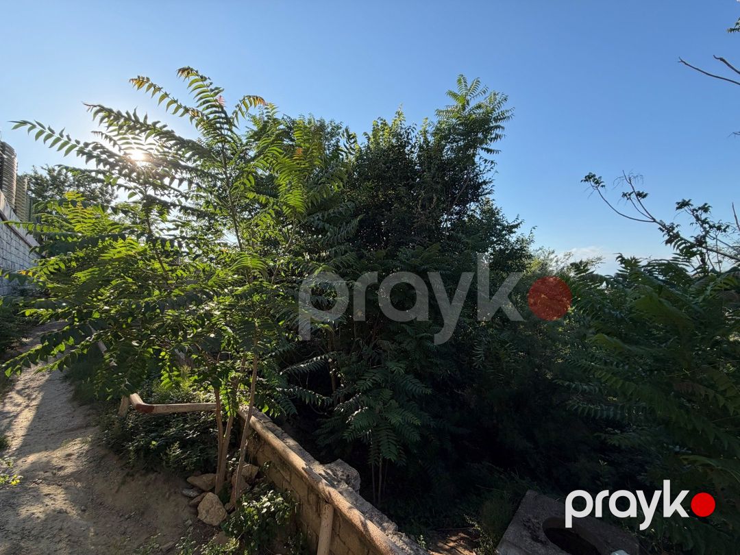 Satılır torpaq 10 sot — Torpaq, Bakı (4)