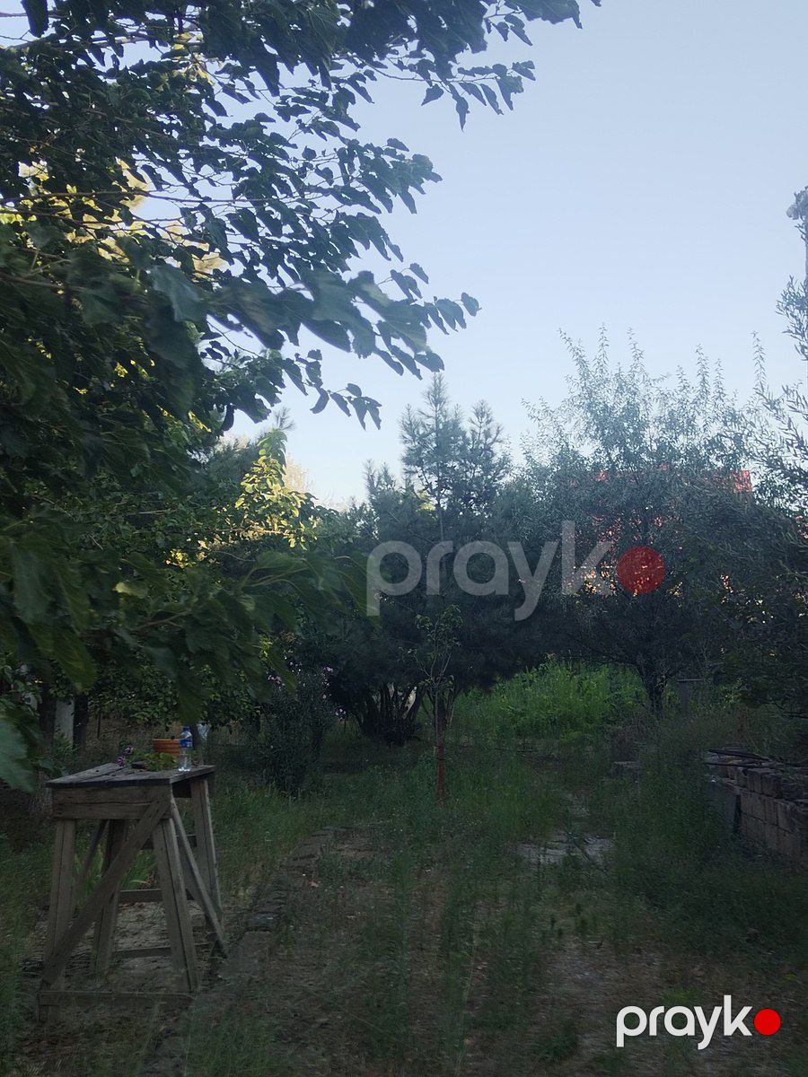 Satılır torpaq 6 sot — Torpaq, Bakı (3)