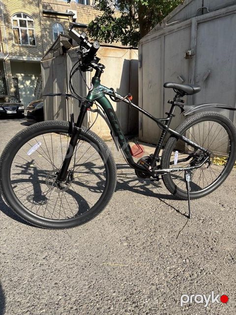 Velosiped Goose — Bakı