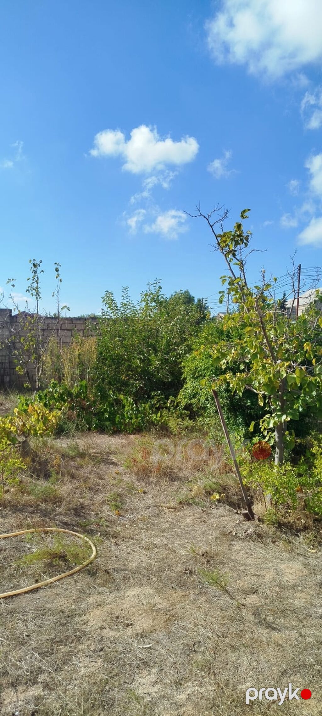 5 sot, Tikinti — Torpaq, Bakı (8)