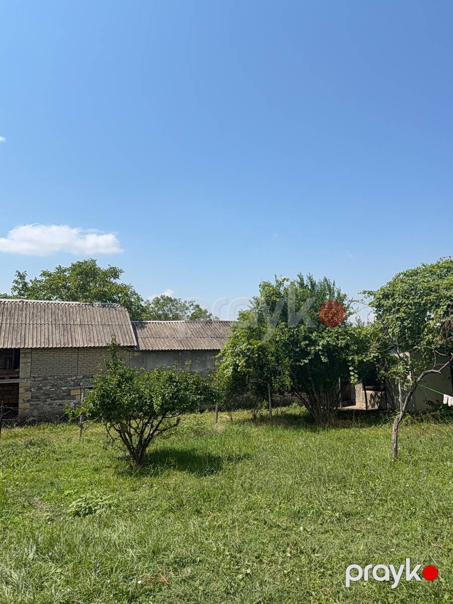 12 sot torpaq sahəsi, Şəki ş — Torpaq, Şəki (4)