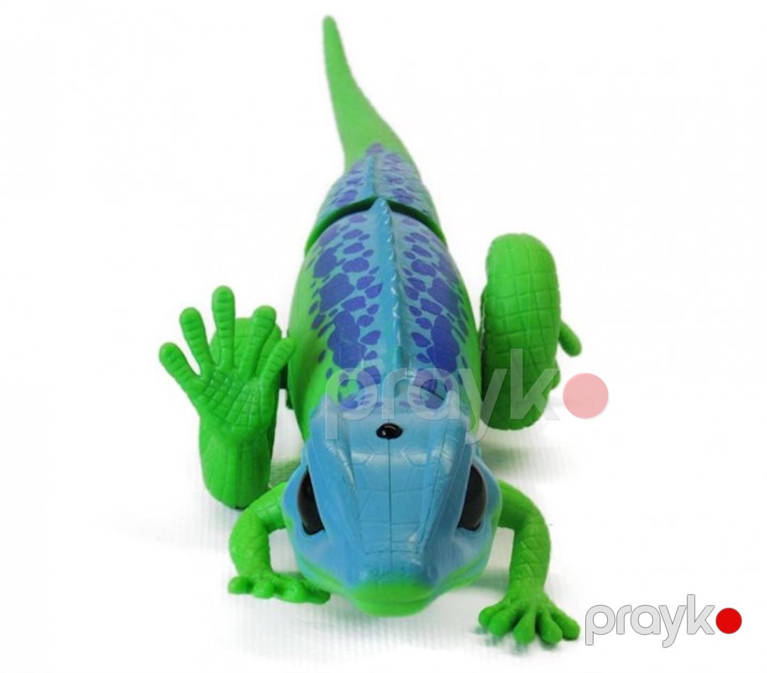 Radio ilə idarə olunan heyvan Kərtənkələ Exploration Jungle Lizard, yaşıl/göy, 3+ yaş — Mallar, Bakı (3)