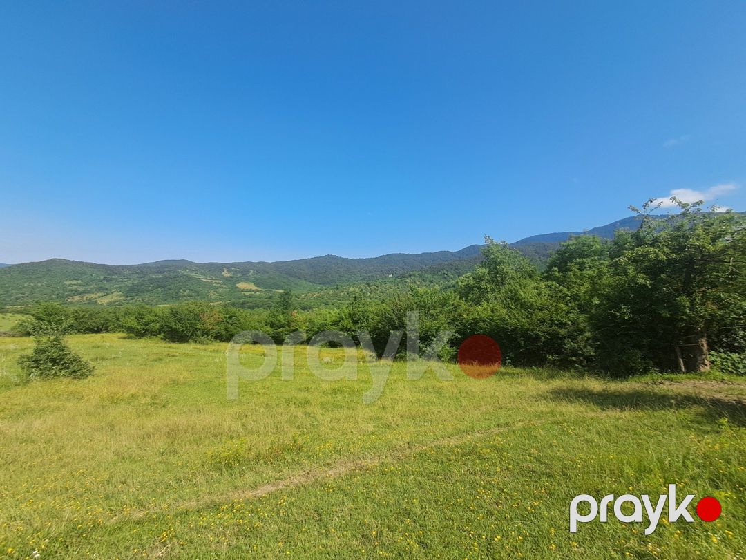 14 sot torpaq sahəsi, Quba r — Torpaq, Quba (12)