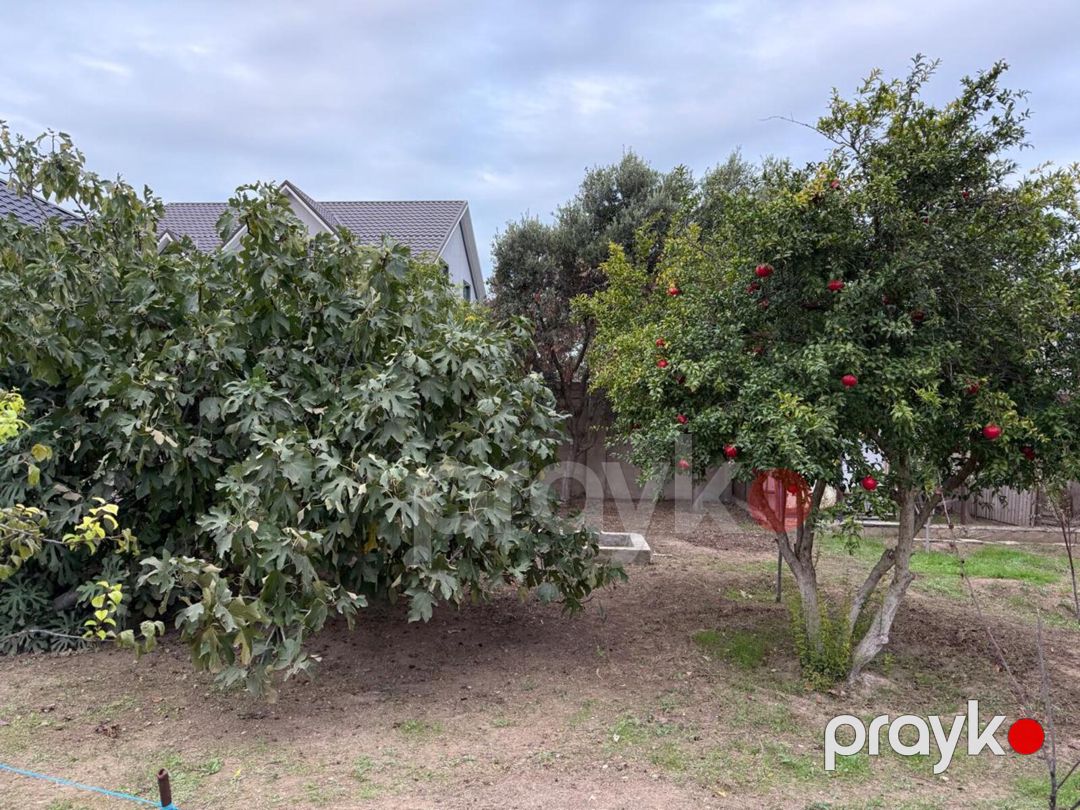 Satılır 5 otaqlı həyət evi/bağ evi 156 m² — Ev, villa, Bakı (3)