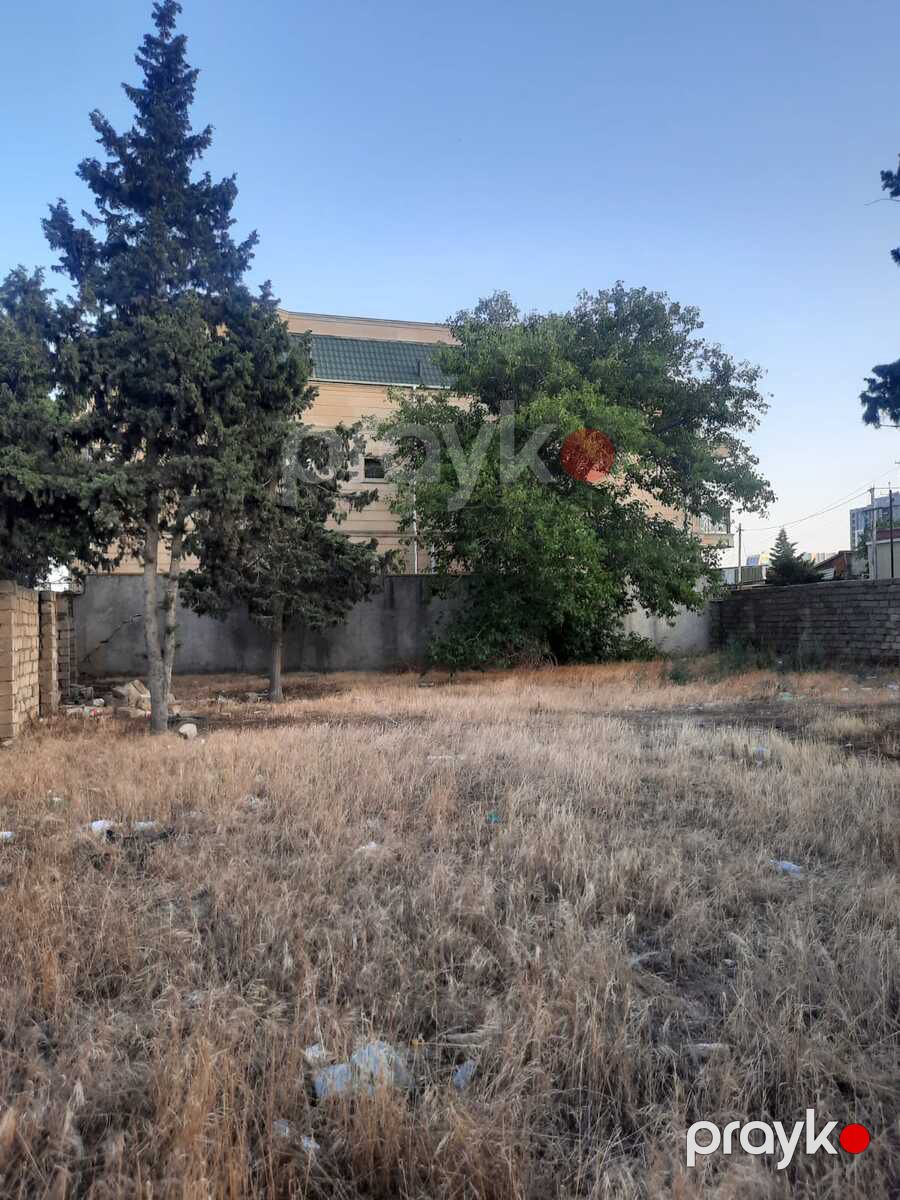 Satılır torpaq 8 sot — Torpaq, Bakı (3)