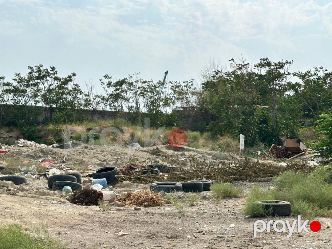 Satılır torpaq 33 sot — Torpaq, Bakı (7)