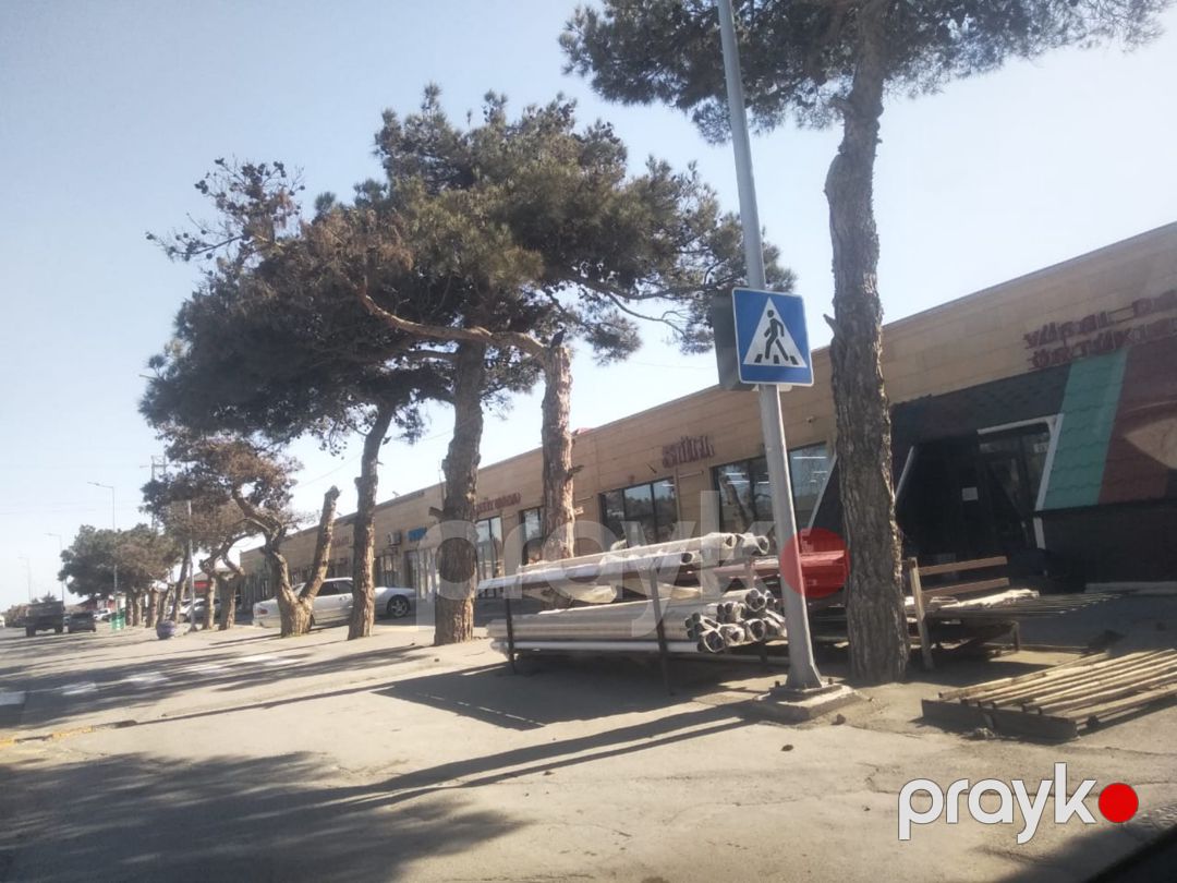 5 sot torpaq sahəsi, Buzovna qəs — Torpaq, Bakı (7)