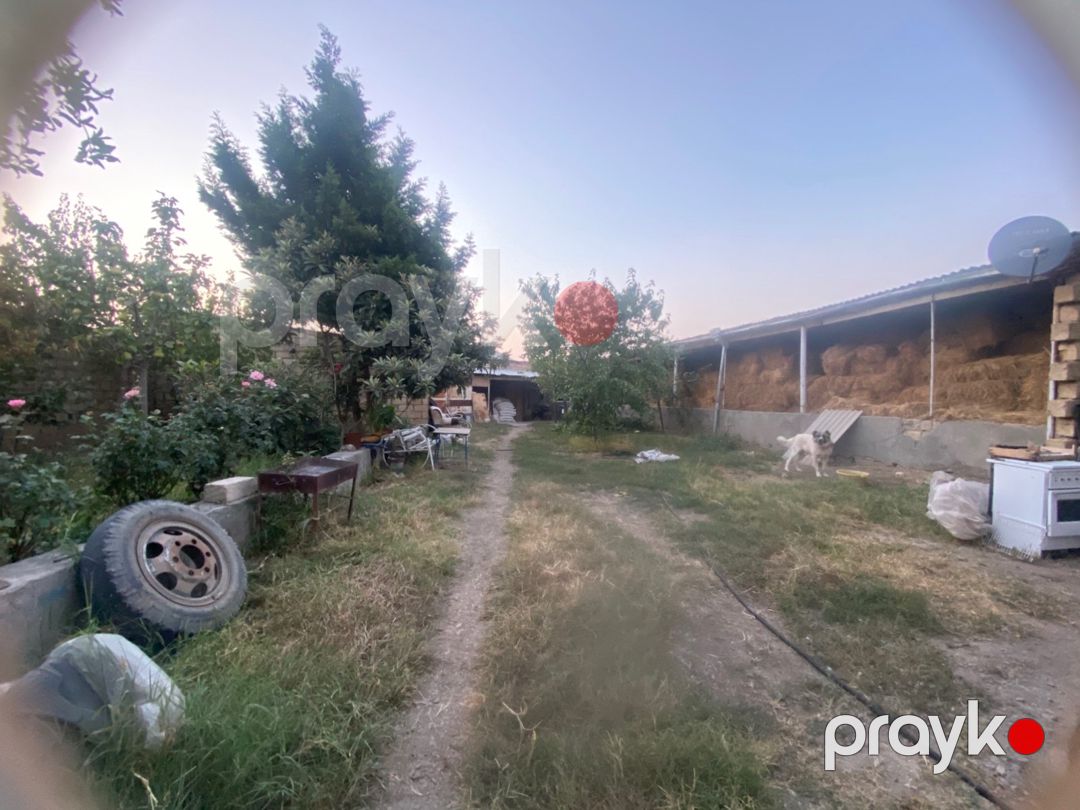 Həyət evi, Gəncə ş — Ev, villa, Gəncə (6)