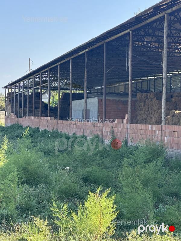 Satılır 10 otaqlı Obyekt, 1000 m², Salyan — Əmlak, Salyan (3)