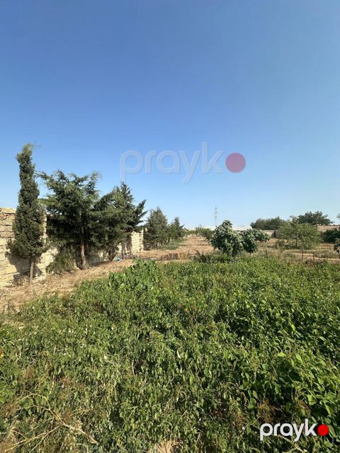 Satılır torpaq 20 sot — Bakı