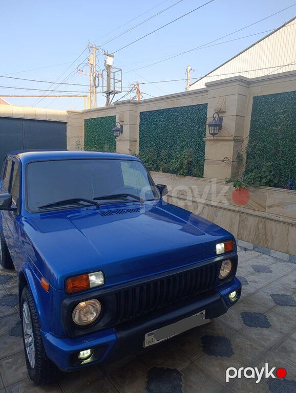Lada (VAZ) Niva, 1.7 L, 2014 il, 180 000 km — Avtomobillər, Bakı (3)