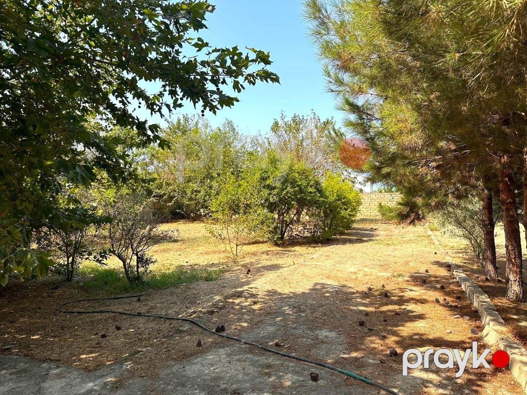 Satılır torpaq 50 sot — Torpaq, Bakı (3)