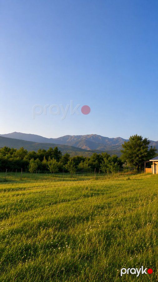 Torpaq sahəsi, 50 sot, Tikinti təyinatlı, Kupçalı, Ismayilli r., İsmayıllı — Torpaq, İsmayıllı (7)