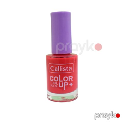 Dırnaqlar üçün lak Callista Color Up Nail Polish 344 9 ml — Bakı