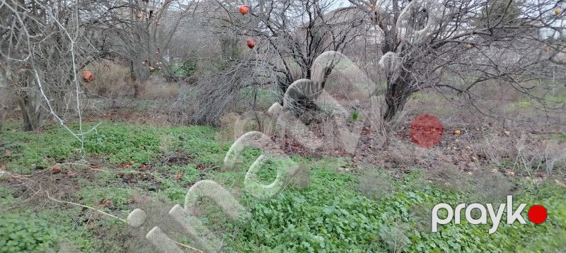 3 sot Torpaq, Satış, Bakı, Xətai — Torpaq, Bakı (4)