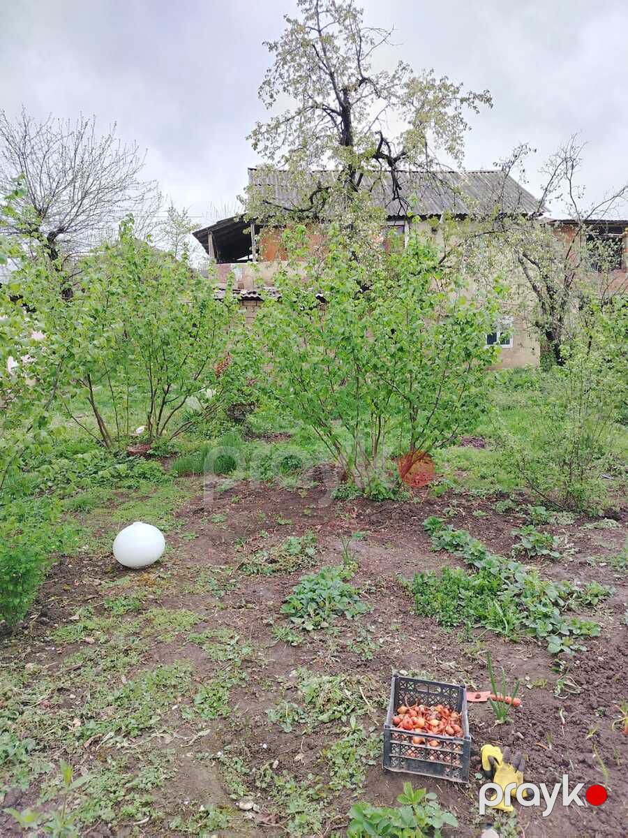 9 sot torpaq sahəsi, Qusar r — Torpaq, Qusar (3)