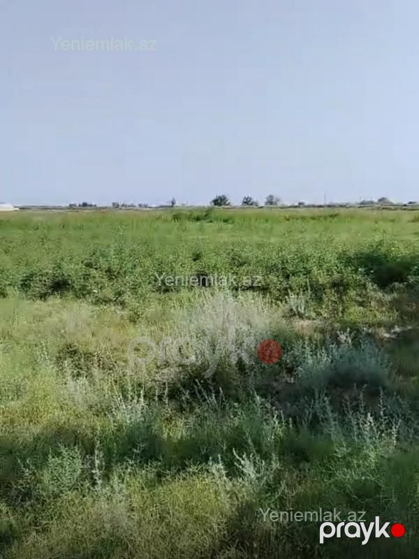 Satılır 10 otaqlı Obyekt, 1000 m², Salyan — Əmlak, Salyan (6)
