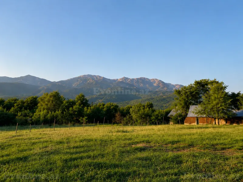 Satılır Torpaq 50 sot İsmayıllı — Torpaq, İsmayıllı (5)