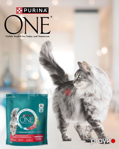 Quru yem Purina One sterilizasiya olunmuş və kastrasiya olunmuş pişiklər üçün mal əti ilə, 750 q — Bakı