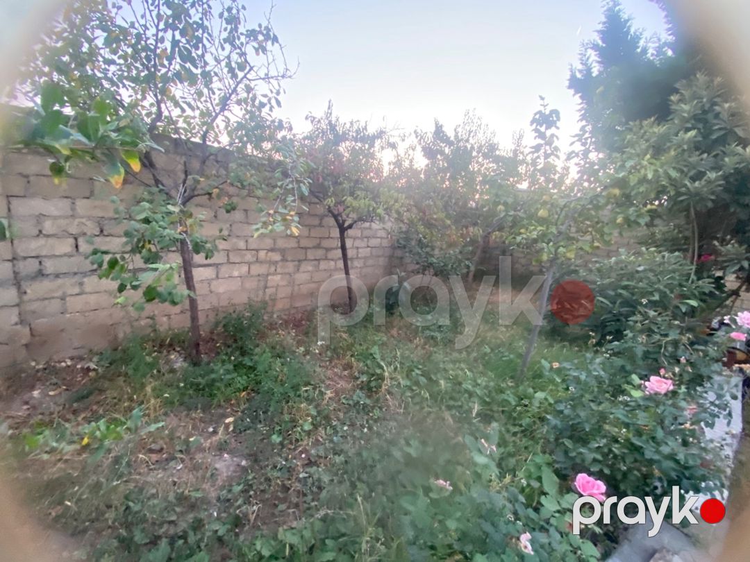 Həyət evi, Gəncə ş — Ev, villa, Gəncə (7)