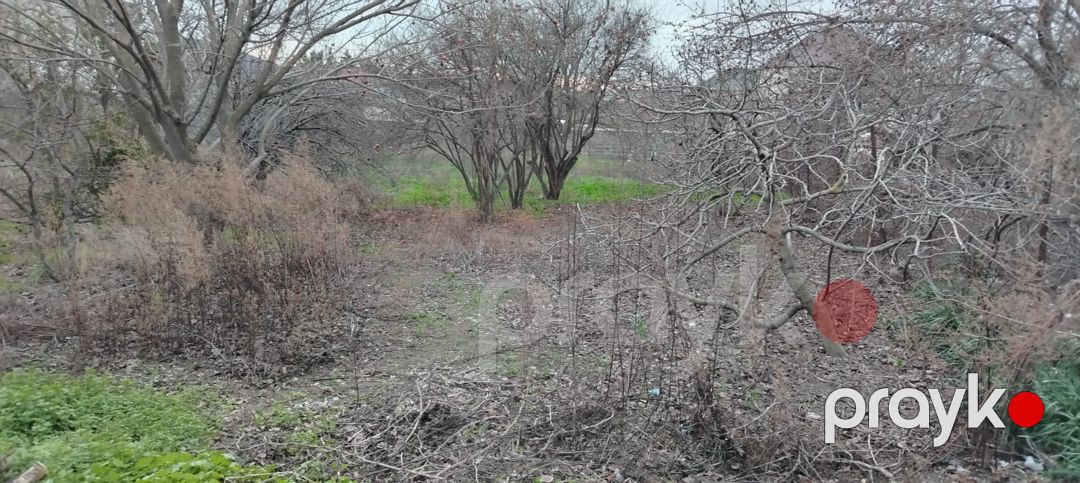 Satış: Torpaq, 3 sot, Xətai rayonu — Torpaq, Bakı (7)