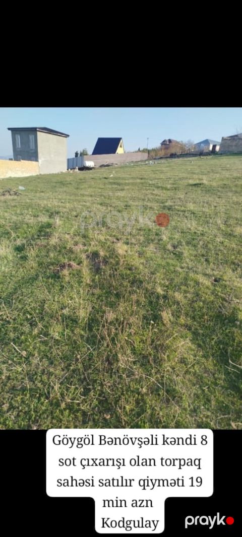 8 sot, Tikinti, Kupça (Çıxarış)