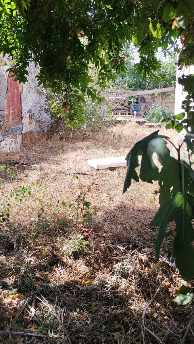 Həyət evi, Sumqayıt ş — Ev, villa, Sumqayıt (3)