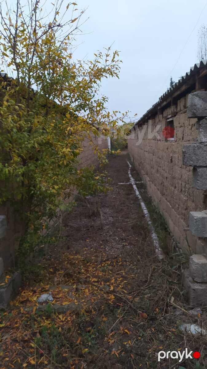 Satılır torpaq 10 sot — Torpaq, Şabran (6)
