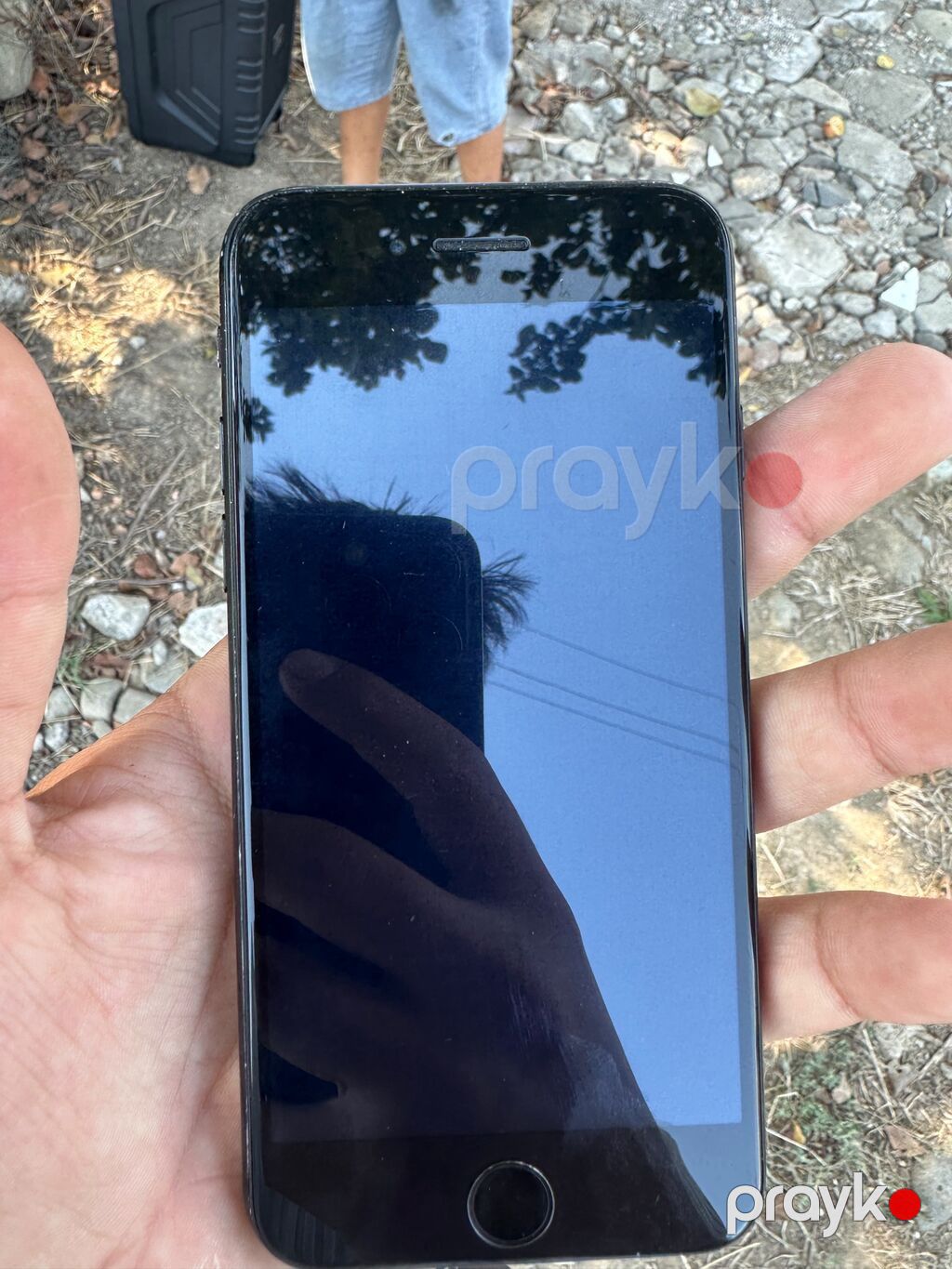 IPhone 7, 32 GB, Qara, Barmaq izi — Apple iPhone, Masallı (2)