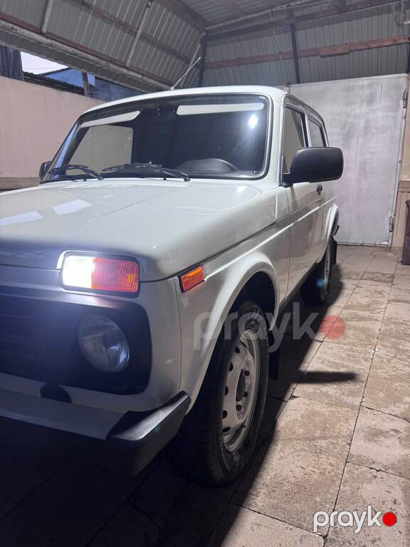 Lada (VAZ) Niva, 1.7 L, 2020 il, 217 256 km — Avtomobillər, Bakı (9)