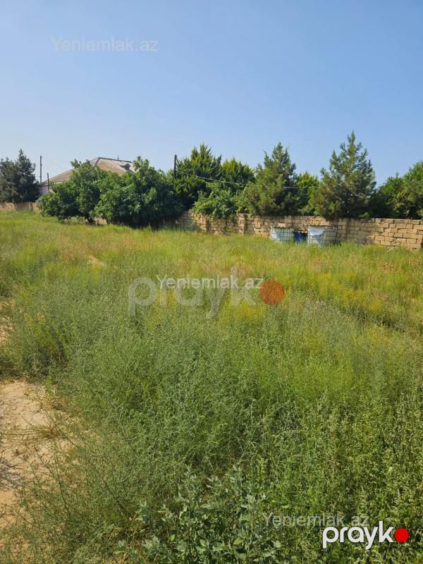 Satılır Torpaq sahəsi, 10 sot, Goradil — Torpaq, Abşeron (5)