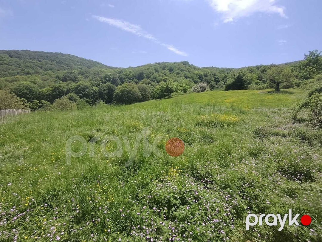 Satılır torpaq 7 sot — Torpaq, İsmayıllı (4)