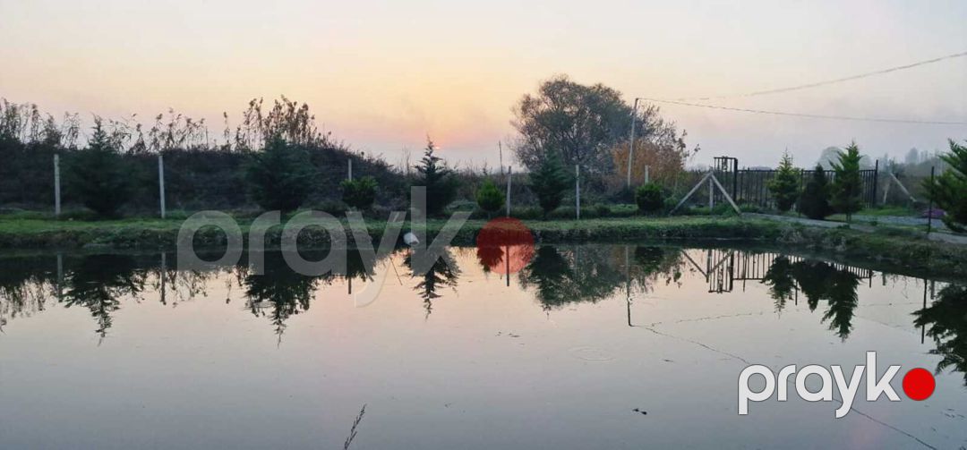 Satılır torpaq 1100 sot — Torpaq, Xaçmaz (4)