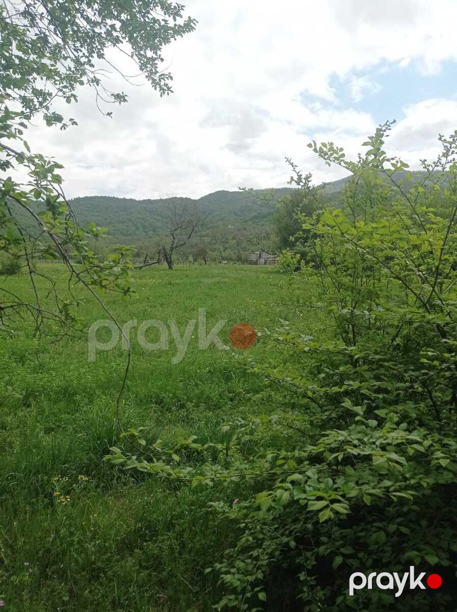 14 sot torpaq sahəsi, Quba r — Torpaq, Quba (5)