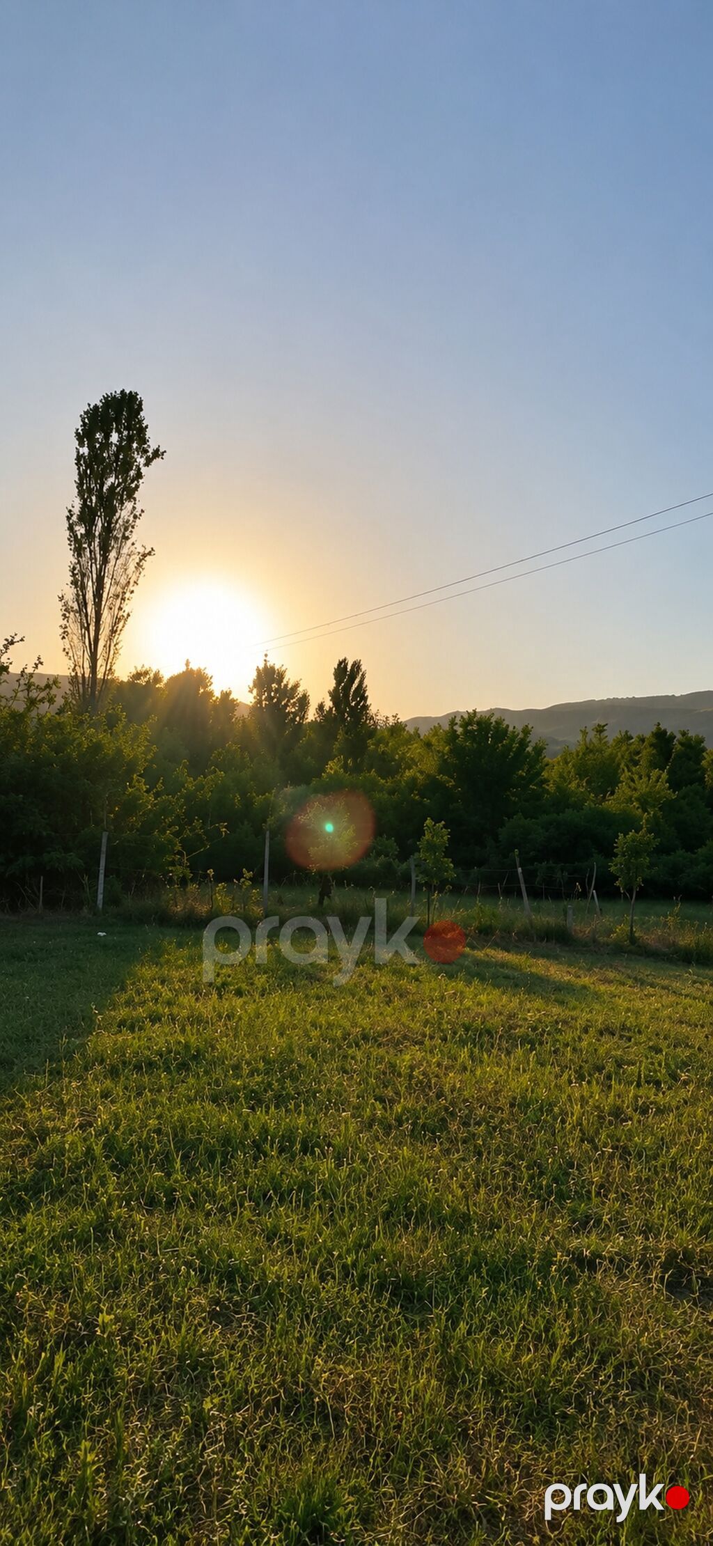 50 sot, Kənd təsərrüfatı, Mülkiyyətçi, Bələdiyyə — Torpaq, İsmayıllı (9)