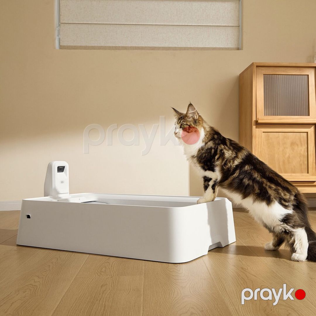 Petkit Purobot Crystal Duo With Camera (P9905) – Ağıllı Özünü Təmizləyən Pişik Tualeti — Heyvan malları, Bakı (2)