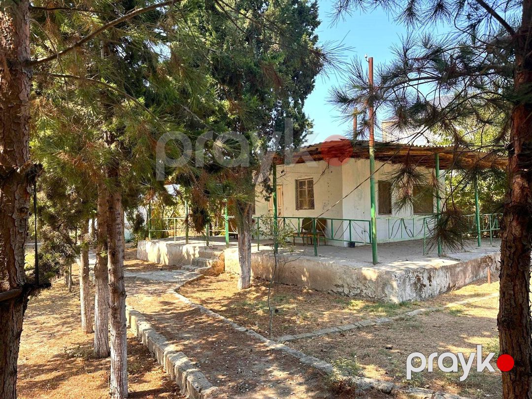 Satılır torpaq 50 sot — Torpaq, Bakı (5)