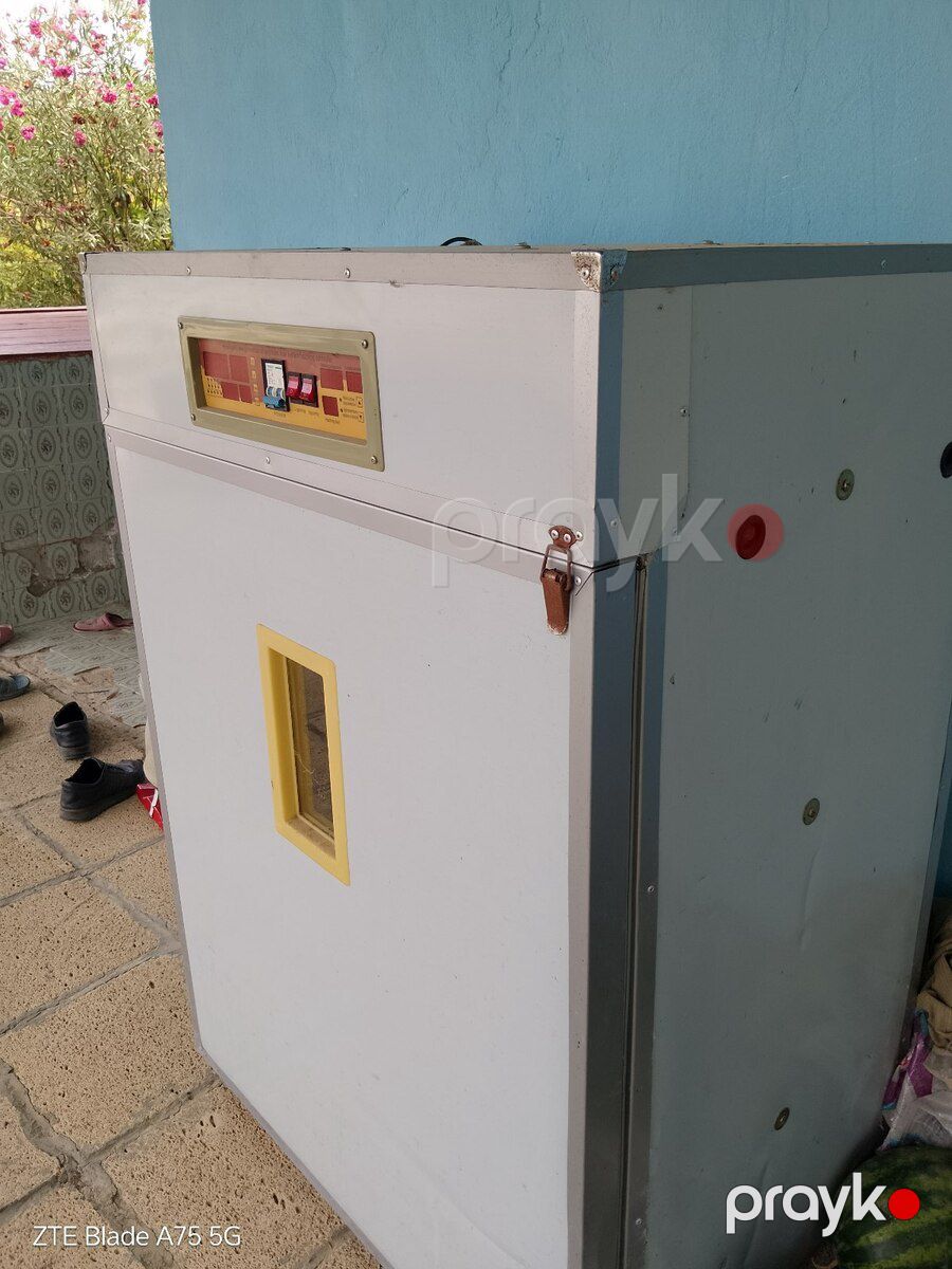 İnkubator — Biznes və avadanlıq, Kürdəmir (2)
