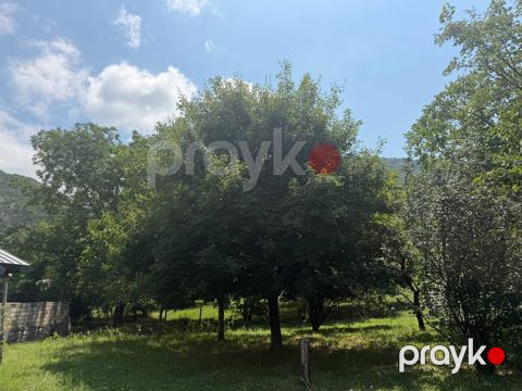 12 sot torpaq sahəsi, Şəki ş — Şəki