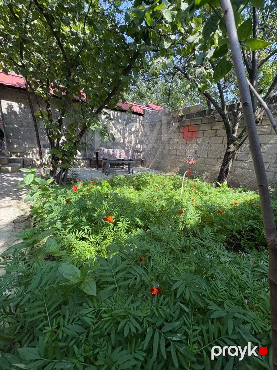Həyət evi kirayə verilir, Quba r — Ev, villa, Quba (7)