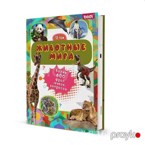 İnkişafedici və öyrədici oyuncaq Elektron Kitab 304-972 - EK304-972 — Bakı