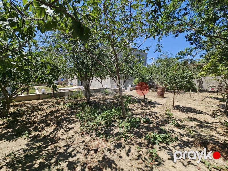 Satılır 5 otaqlı Həyət evi / Villa, 200 m², Saray — Ev, villa, Abşeron (4)