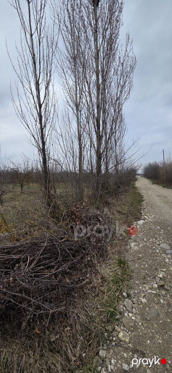 Земельный участок 12 сот, Село Гьсангала — Torpaq, Qusar (8)