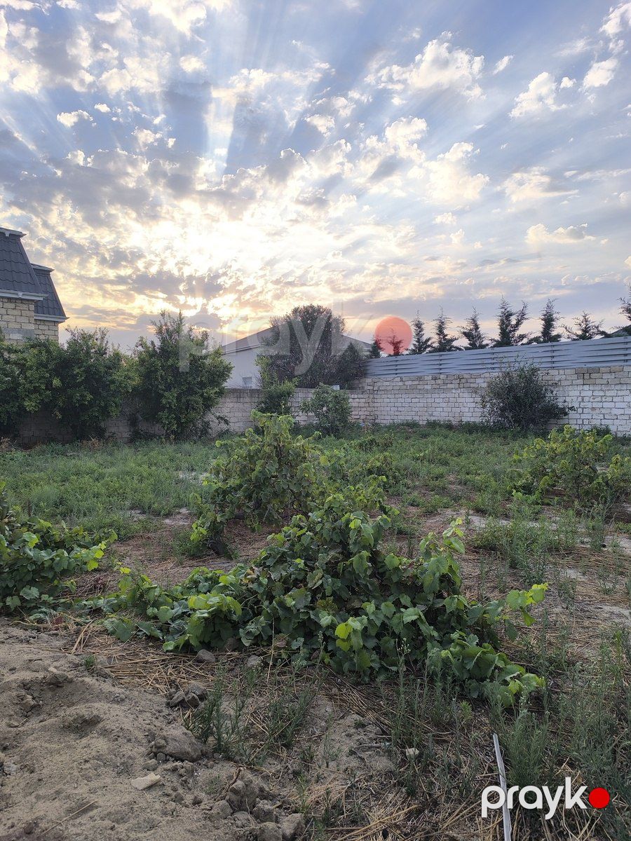 Satılır torpaq 4 sot — Torpaq, Bakı (10)