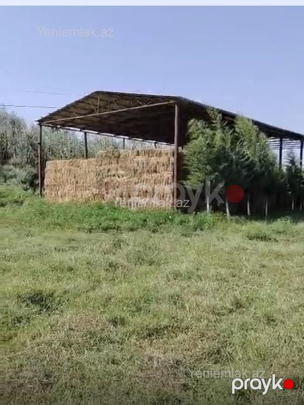 Satılır 10 otaqlı Obyekt, 1000 m², Salyan — Əmlak, Salyan (4)