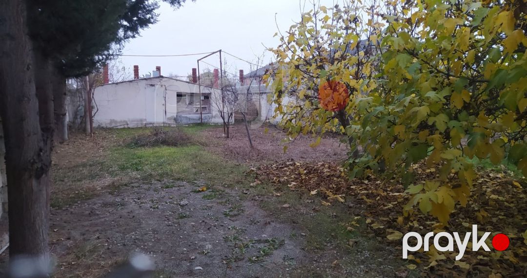 Satılır torpaq 10 sot — Torpaq, Şabran (2)
