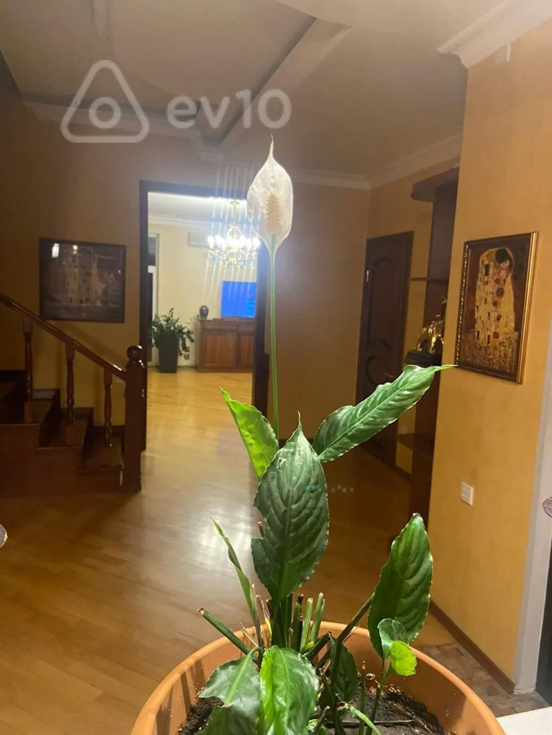 4 otaqlı mənzil, 220 m², Salatın Əsgərova — Mənzil, Bakı (6)