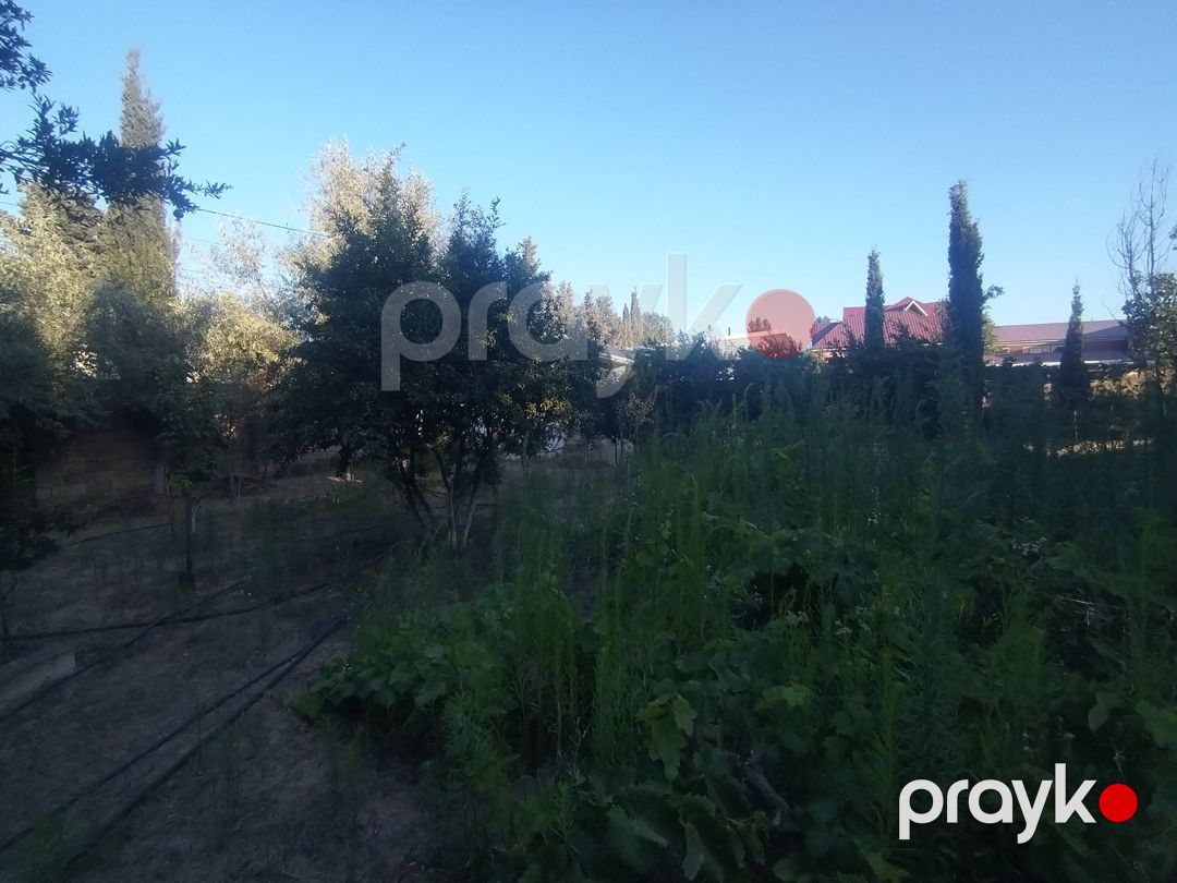Satılır torpaq 6 sot — Torpaq, Bakı (4)