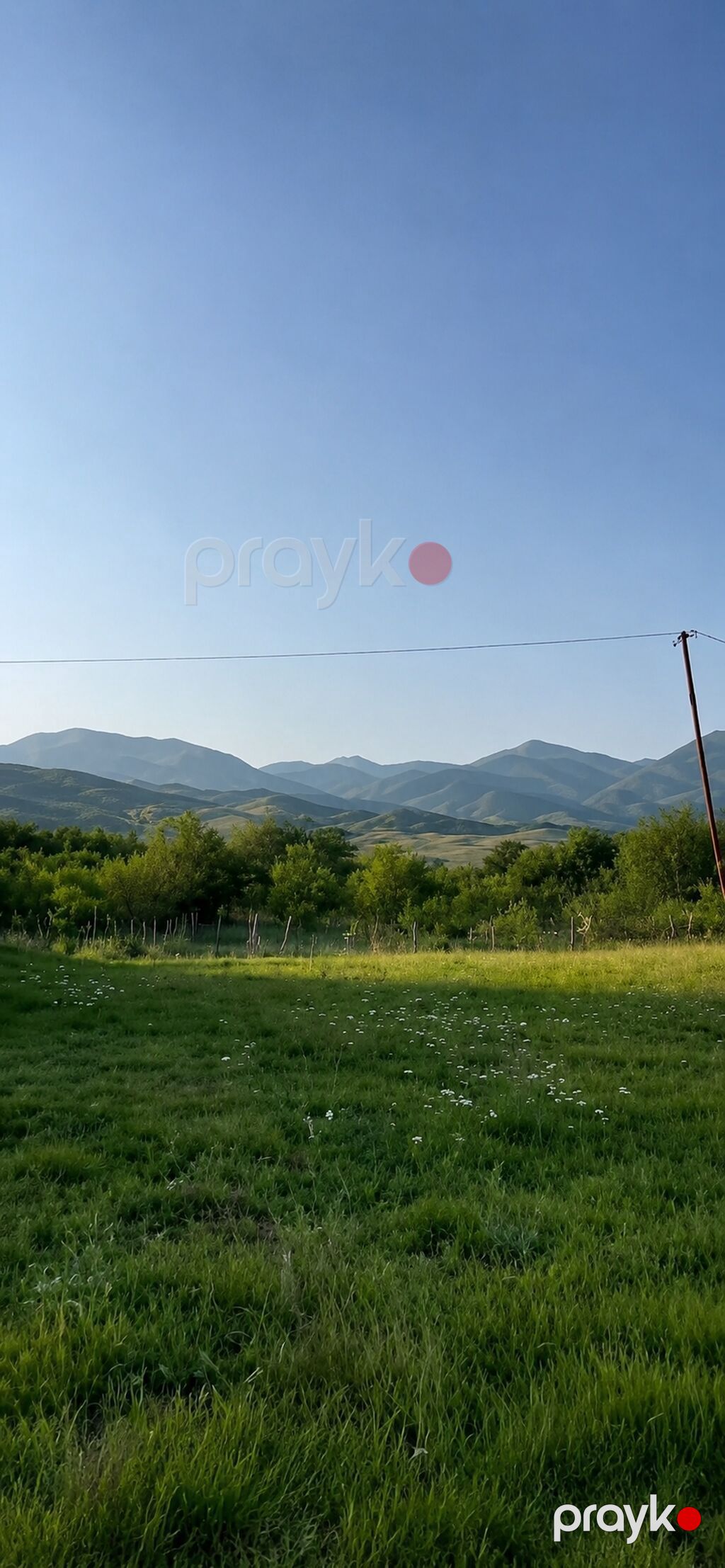 50 sot, Kənd təsərrüfatı, Mülkiyyətçi, Bələdiyyə — Torpaq, İsmayıllı (6)